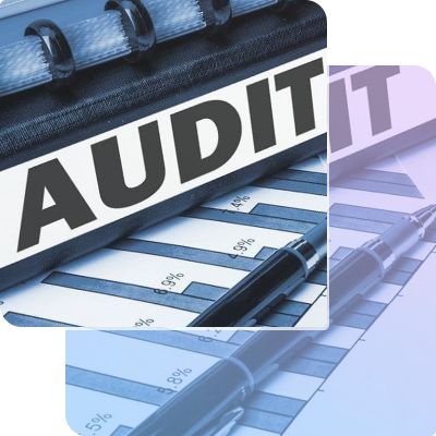 Exterior auditor