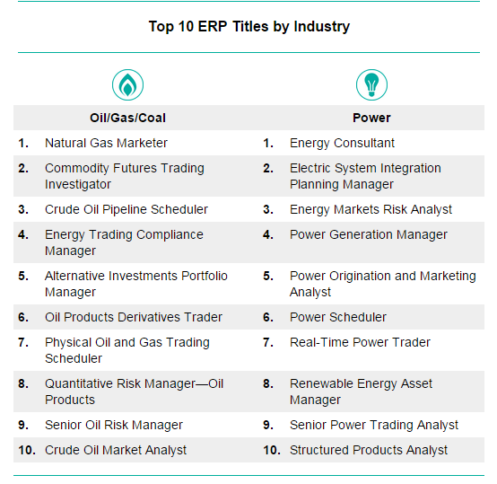 Job titles for ERP professionals